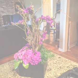 Banaboxer spotlight: Sharon from S. Carolina